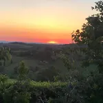 Near Vineyards Pool 펜션 *