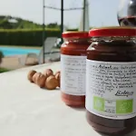 Near Vineyards Pool Montepulciano Stazione