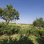 Near Vineyards Pool * Montepulciano Stazione