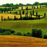 Near Vineyards Pool