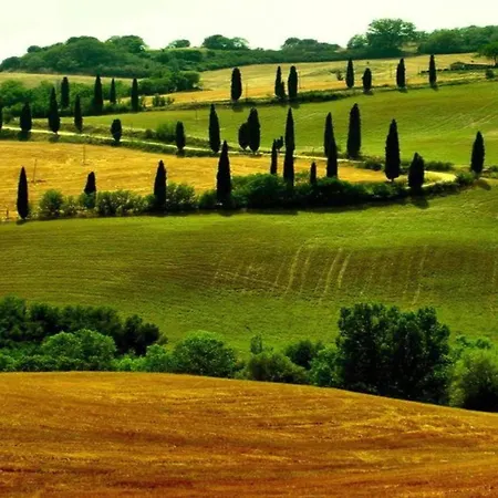 Near Vineyards Pool